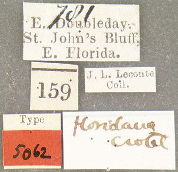 Media type: image;   Entomology 5062 Aspect: labels